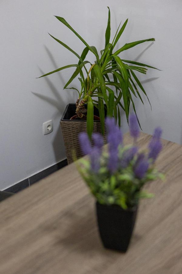 Apartman Toni Сплит Экстерьер фото